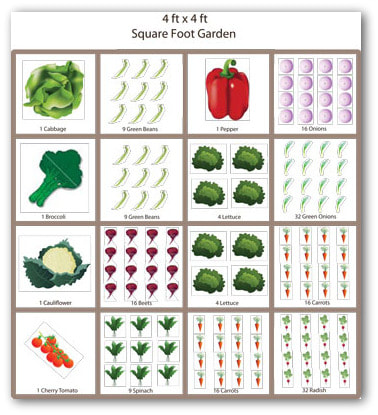 Square foot gardening diagram