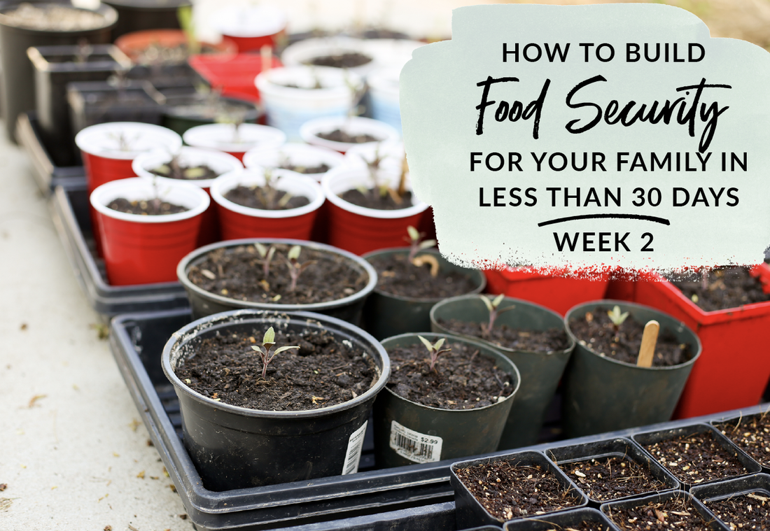 Learn how to build food security for your family with this 30 day plan