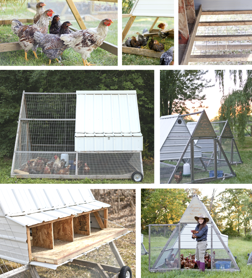 The Mega A-Frame Chicken Tractor Build Plans