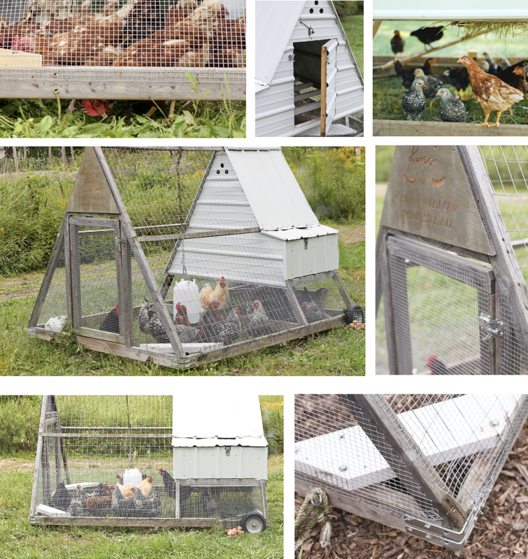 A-frame mobile chicken tractor build plans coop
