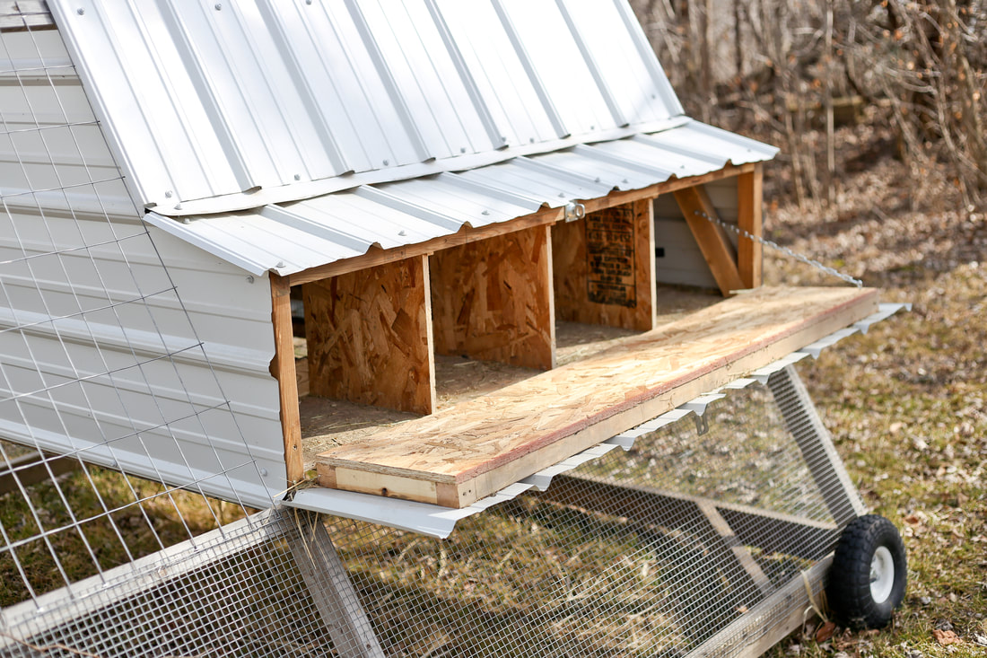 Nesting boxes are accessible on our A-Frame chicken tractor from the outside