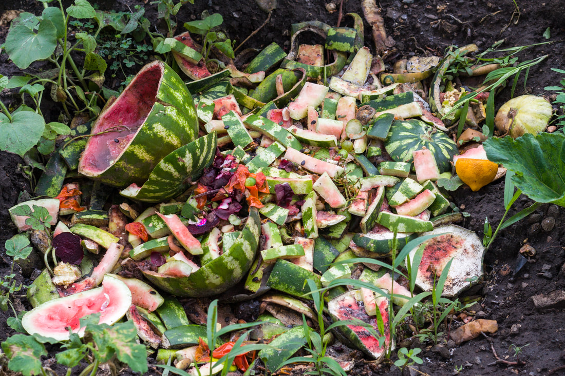 Start Composting Your Food Scraps
