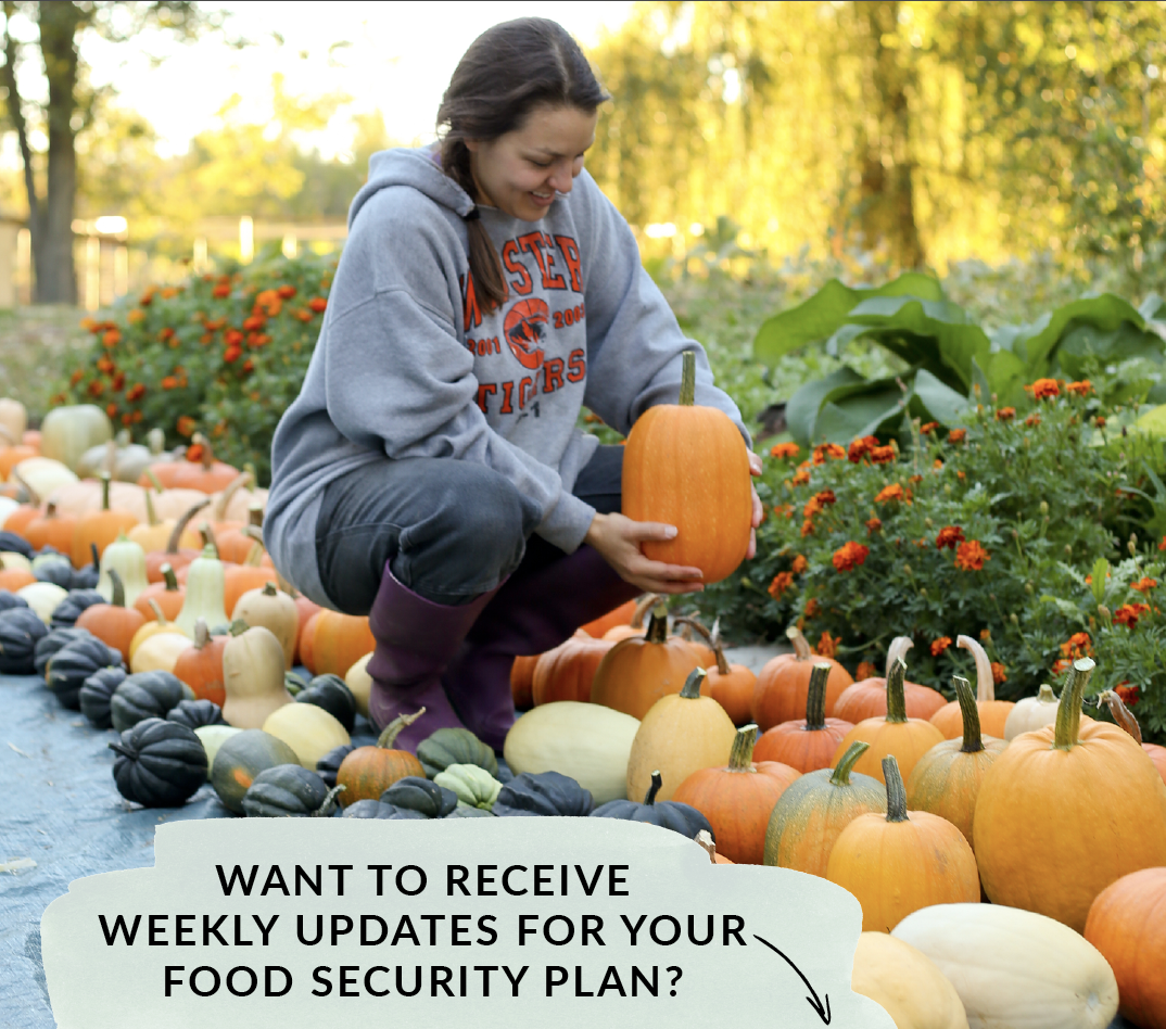subscribe to receive weekly updates to your food security plan