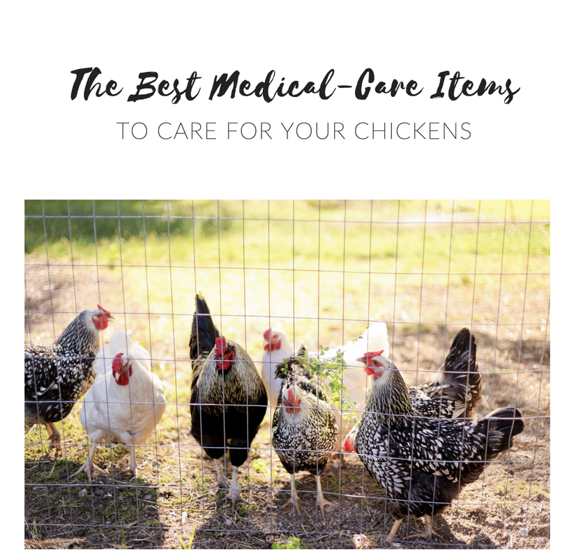 The best medical items to have on hand to care for your chickens