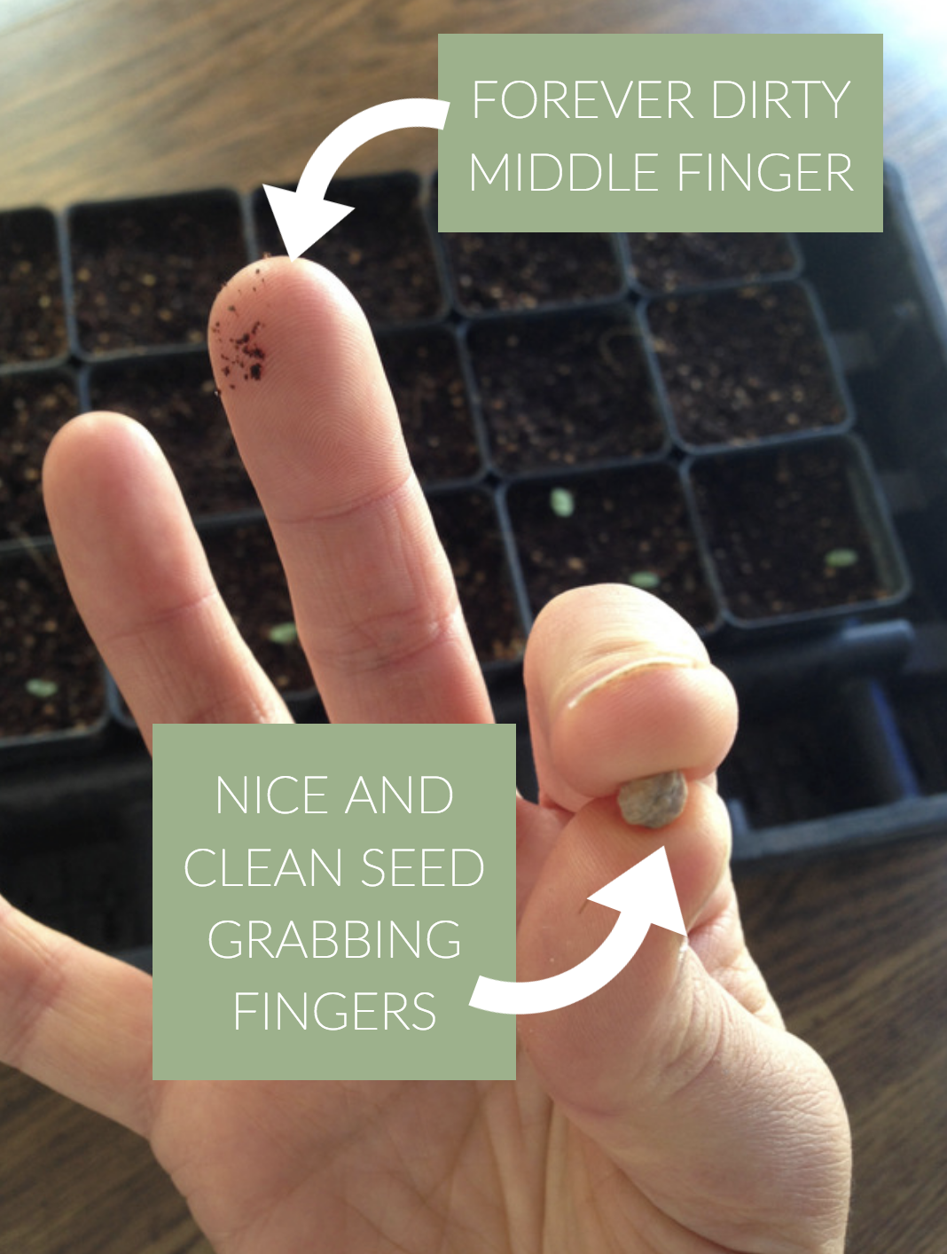 This is the absolute best way to plant seeds in seed trays using your own hands. Stop fumbling with seeds and dirty hands and start planting your seeds this way.