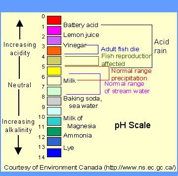 The pH Scale