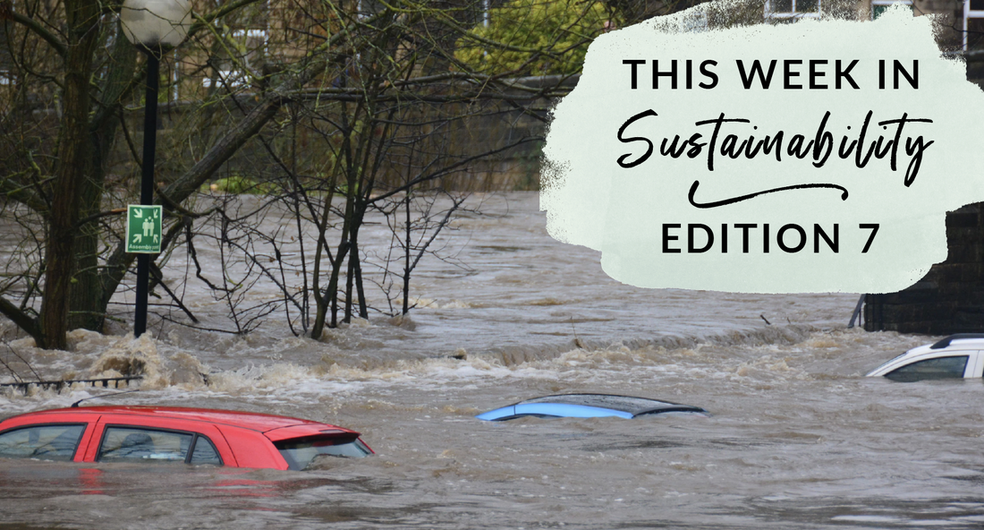 This Week in Sustainability Edition 7
