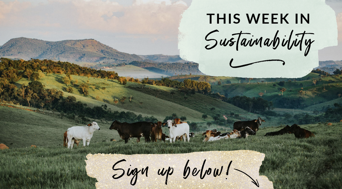 Sign up for This Week in Sustainability updates