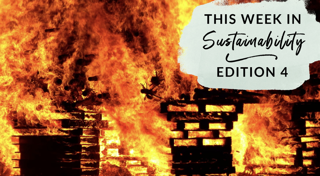 This Week in Sustainability Edition 4