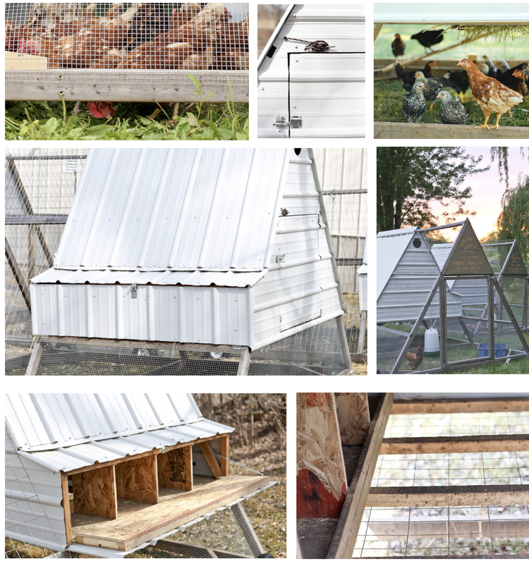 Examples of Mobile Chicken Tractor Build Plans