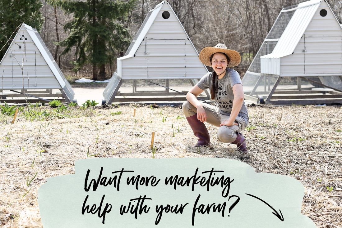 Learn how to use online marketing for your farm with Kelsey Jorissen of Green Willow Homestead