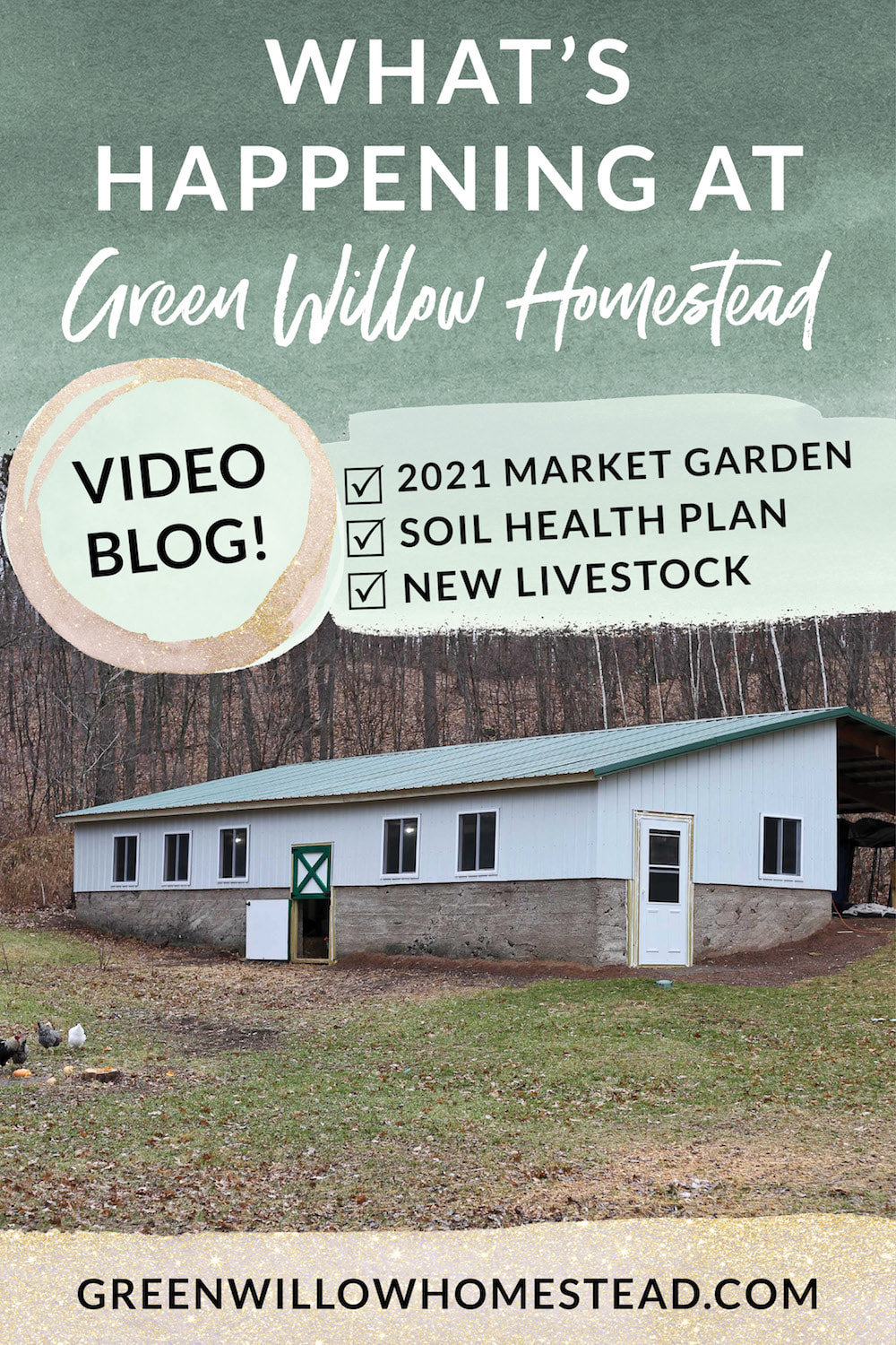 What's happening at Green Willow Homestead Video Blog