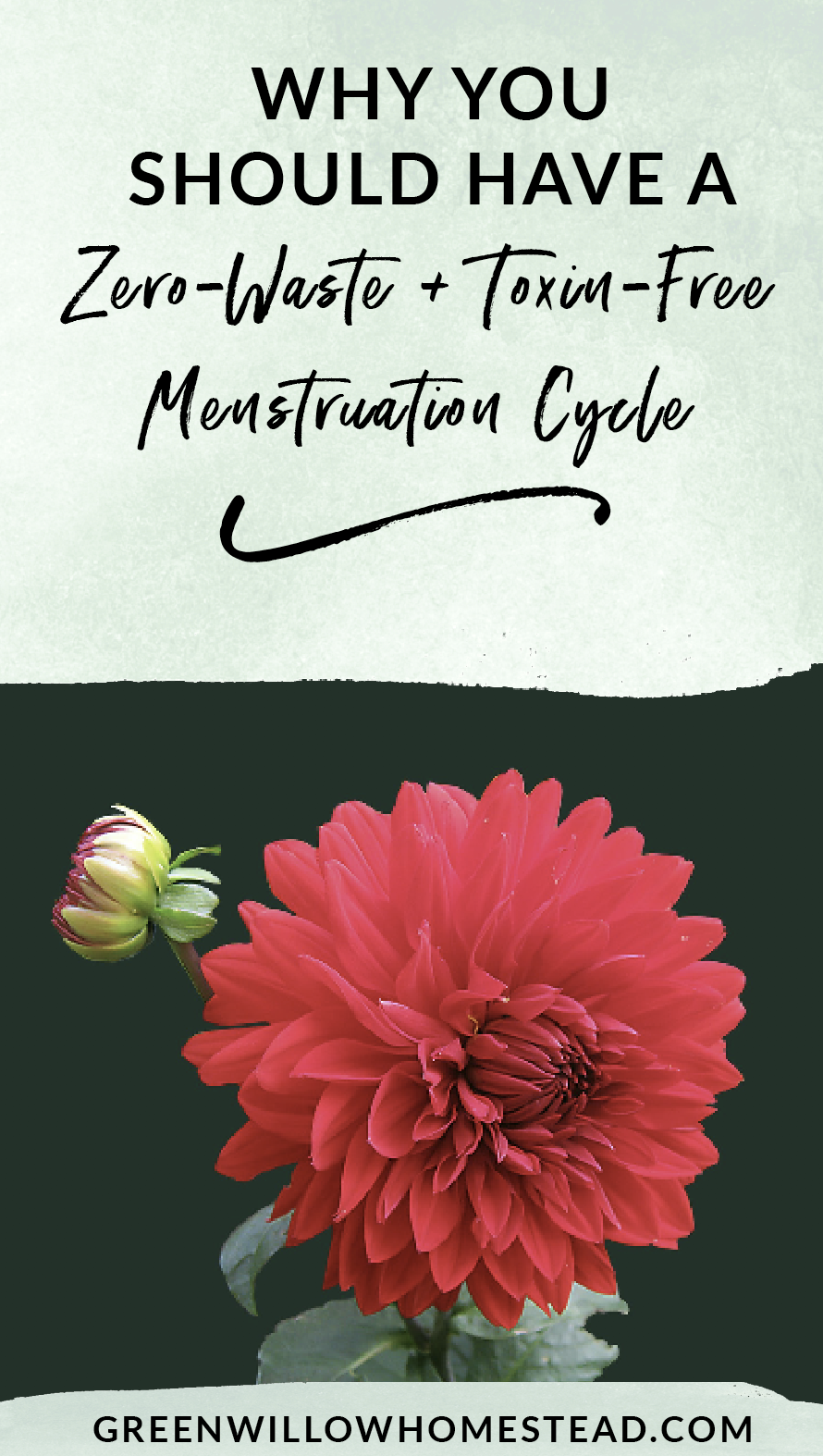 Why You Should Choose To Have A Sustainable and Zero Waste Menstruation Cycle 